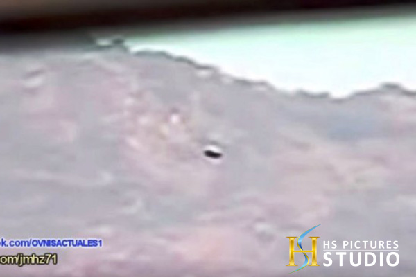 チリ/UFOの出現にあわてふためく牛たち!